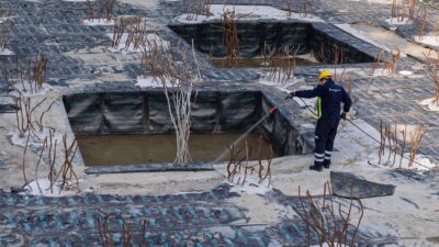 Sokaklarda, parklarda karşınıza çıkan o uzun bacaklı sinekler meğer "bitki