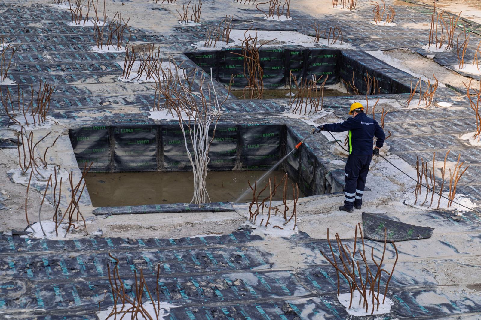 İzmir’de "Sivrisinek" sandığınız o canlılar aslında zararsız! Uzmanlar açıkladı: “Korkmayın!”