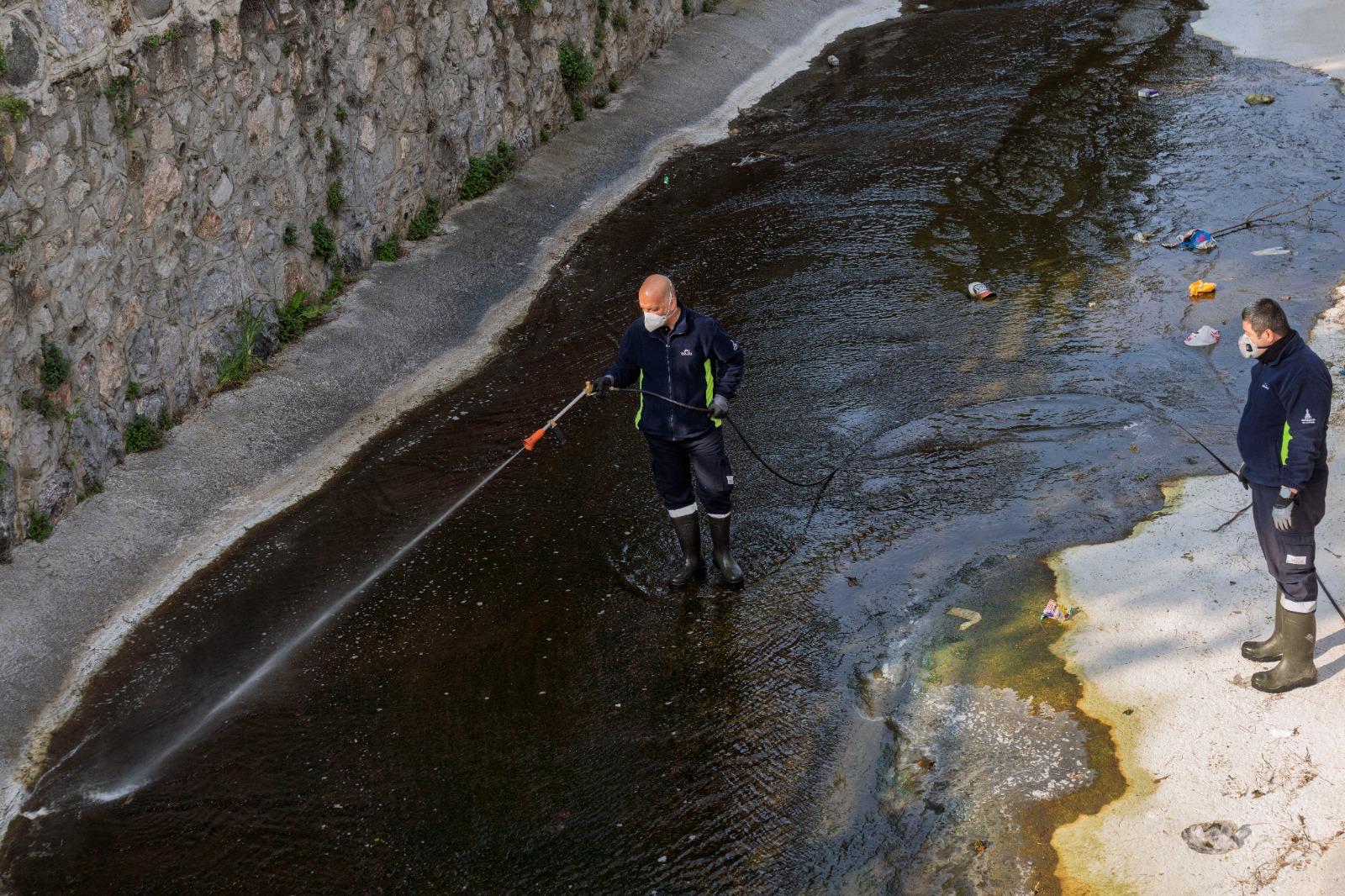 İzmir’de "Sivrisinek" sandığınız o canlılar aslında zararsız! Uzmanlar açıkladı: “Korkmayın!” 1 İzmir’de "Sivrisinek" sandığınız o canlılar aslında zararsız! Uzmanlar açıkladı: “Korkmayın!”