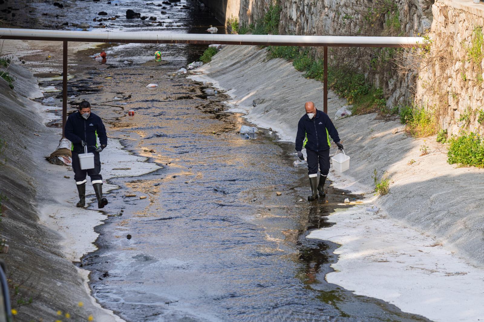 İzmir’de "Sivrisinek" sandığınız o canlılar aslında zararsız! Uzmanlar açıkladı: “Korkmayın!” 2 İzmir’de "Sivrisinek" sandığınız o canlılar aslında zararsız! Uzmanlar açıkladı: “Korkmayın!”