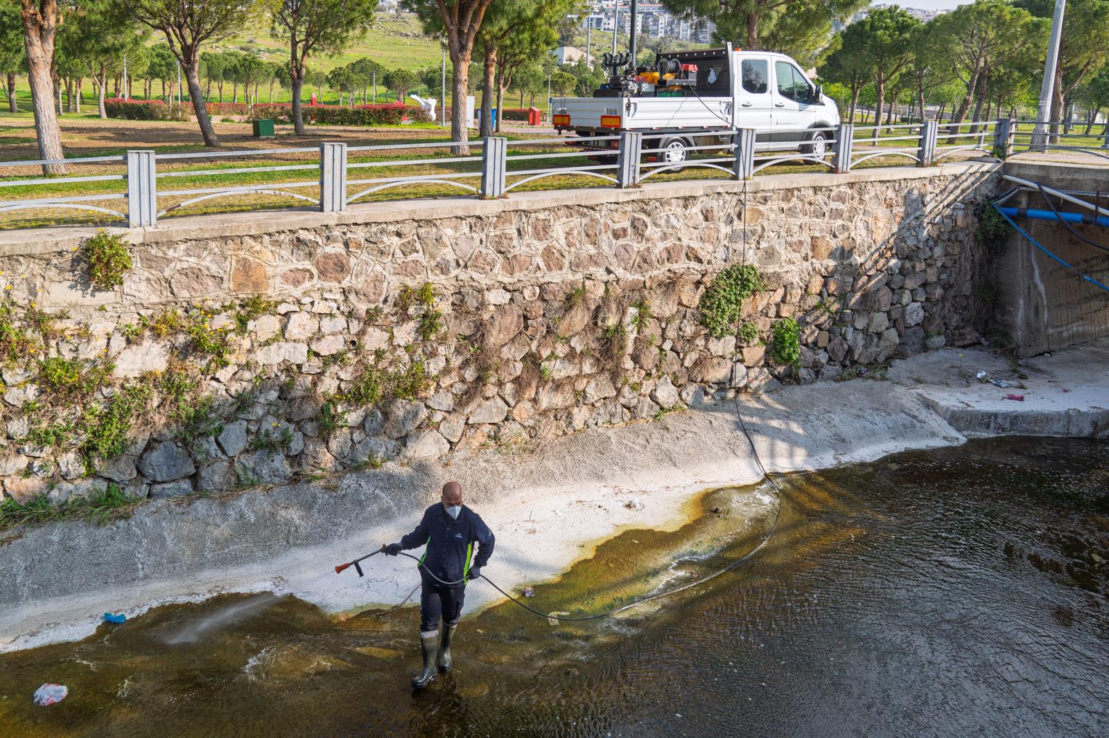 İzmir’de "Sivrisinek" sandığınız o canlılar aslında zararsız! Uzmanlar açıkladı: “Korkmayın!” 4 İzmir’de "Sivrisinek" sandığınız o canlılar aslında zararsız! Uzmanlar açıkladı: “Korkmayın!”