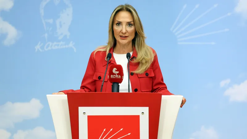 CHP Aile ve Sosyal Hizmetler Politika Kurulu Başkanı Aylin Nazlıaka,