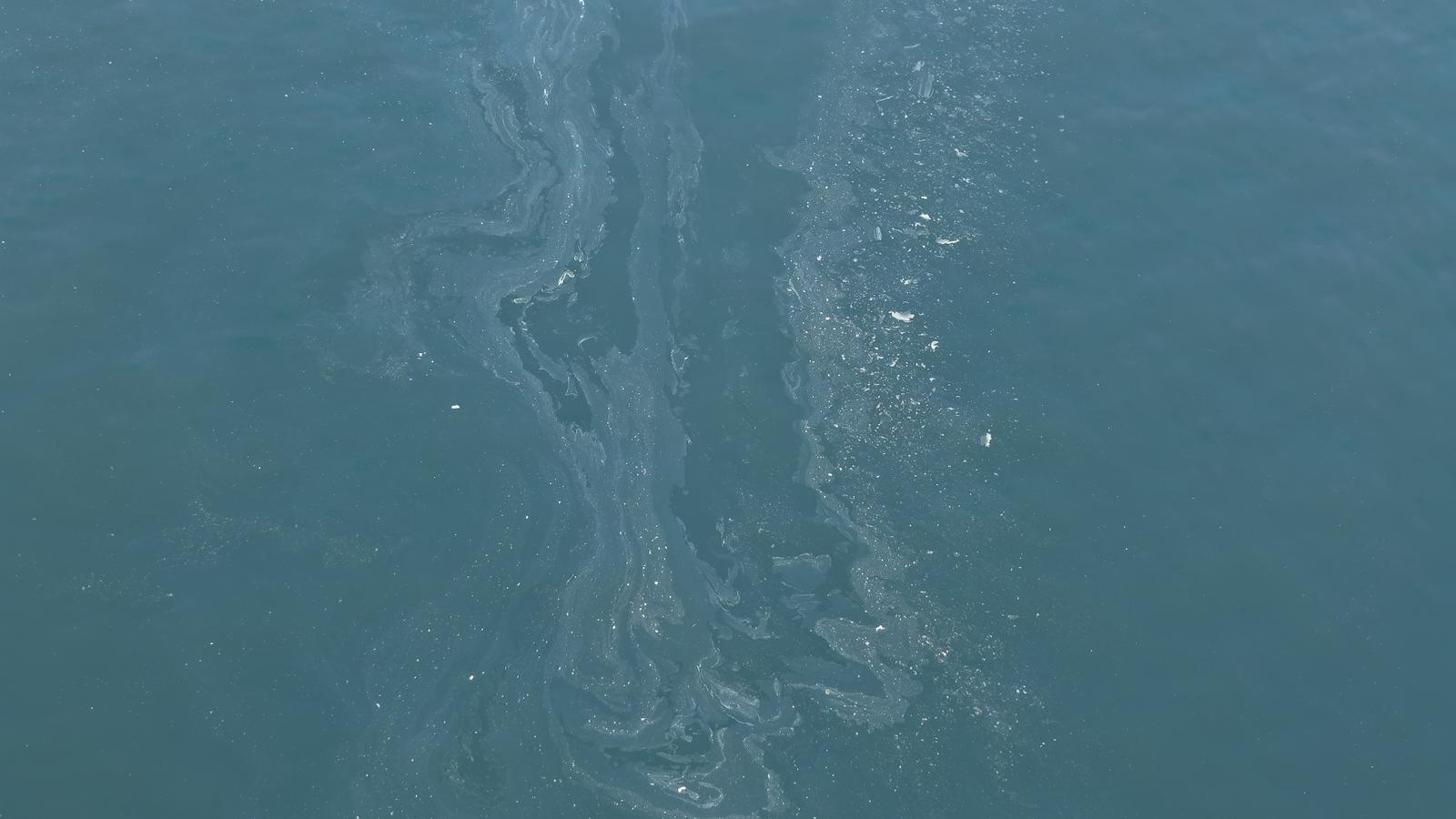 Körfez'de 7'inci 'kirletme skandalı': Yetki düğümü ne zaman çözülecek?