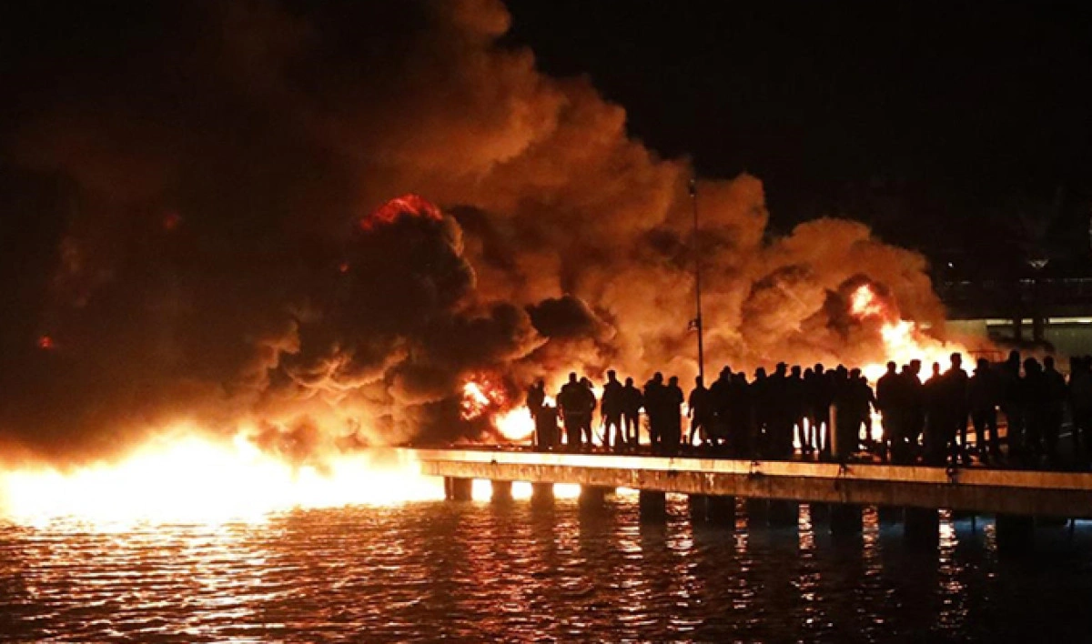 Yalıkavak Marina’da panik dolu dakikalar! Boyları 30 metreye ulaşan 8