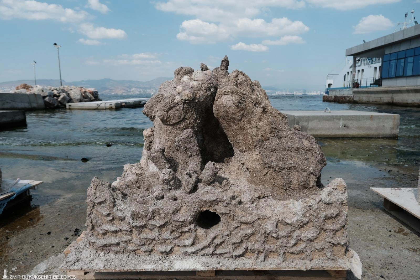 İzmir’de atık midye kabukları yapay resiflere dönüşecek