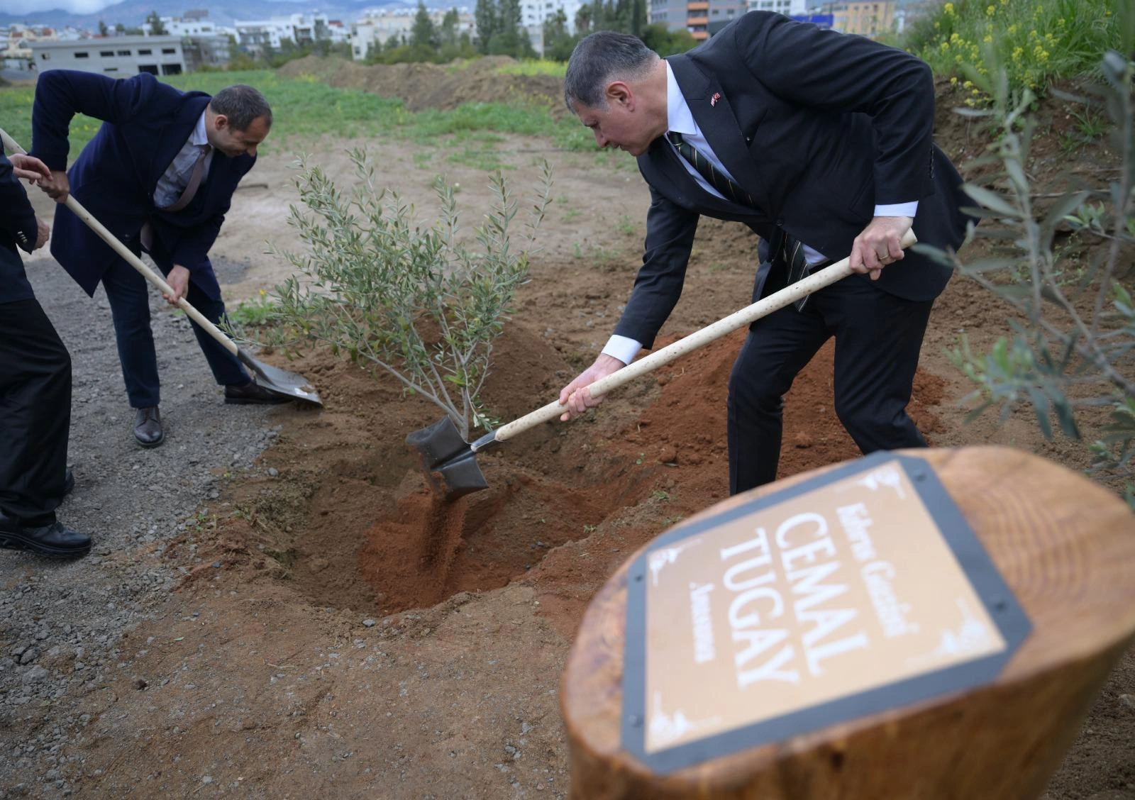 Başkan Tugay Lefkoşa’da duygulandı: Gazi babasının anısına kardeş toprağa fidan dikti!