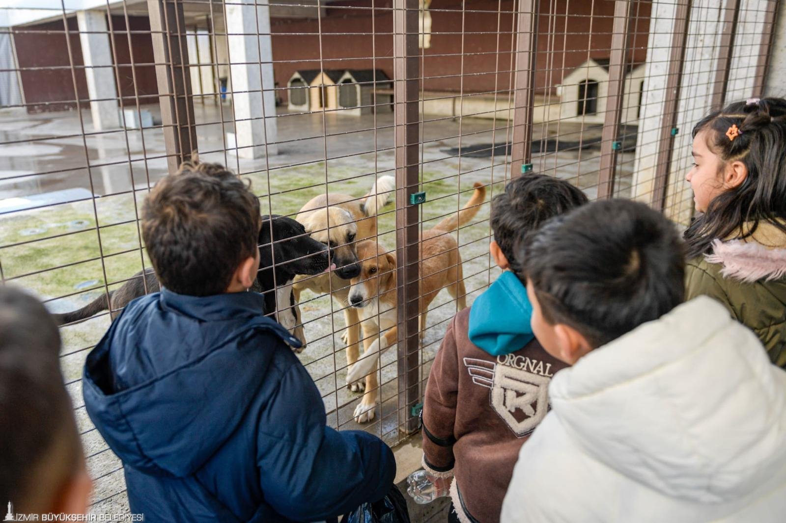 Doğa ve patili dostlar şifa dağıtıyor: İzmir'de 'özel' çocuklar için anlamlı bağ