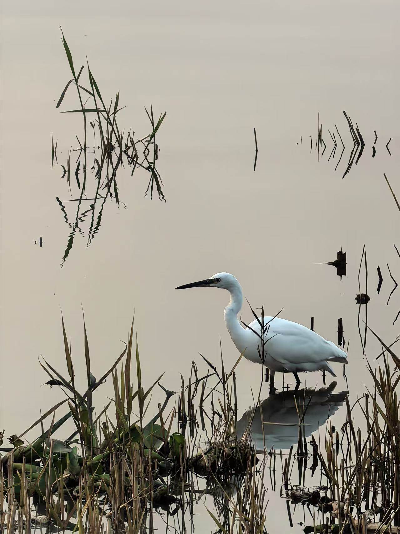 Fotoğrafın evrensel dili Karşıyaka’da: Kardeş Kadrajlar’ın kazananları belli oldu 4 Fotoğrafın evrensel dili Karşıyaka’da: Kardeş Kadrajlar’ın kazananları belli oldu