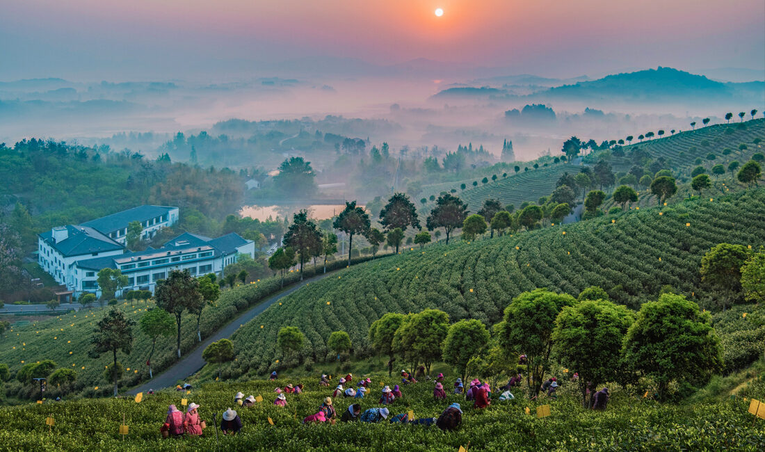 Karşıyaka Belediyesi’nin düzenlediği "Kardeş Kadrajlar" yarışması sonuçlandı. 

Çin’den Bosna Hersek’e