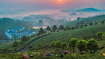 Karşıyaka Belediyesi tarafından 12 yabancı ve 19 ulusal kardeş şehre