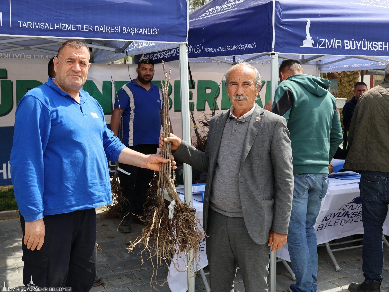 Beydağlı üreticinin yüzü gülecek: Büyükşehirden ipek ve kestane için çifte destek 2 Beydağlı üreticinin yüzü gülecek: Büyükşehirden ipek ve kestane için çifte destek