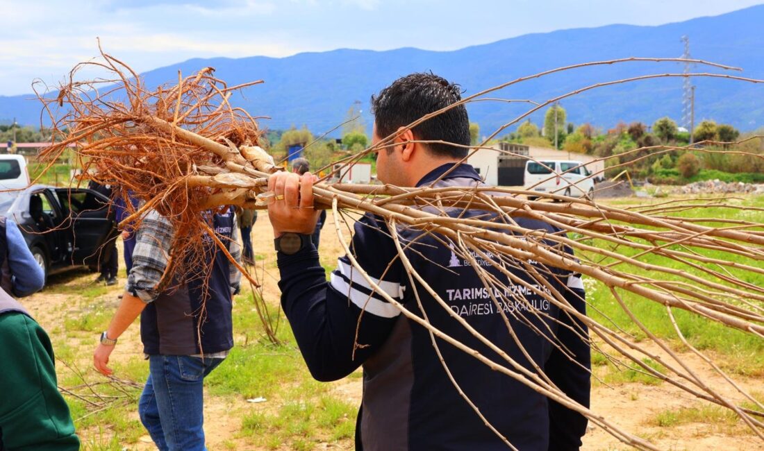 İzmir Büyükşehir Belediyesi, Beydağlı üreticinin hem bugününü hem de geleceğini