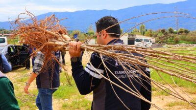 İzmir Büyükşehir Belediyesi, Beydağlı üreticinin hem bugününü hem de geleceğini