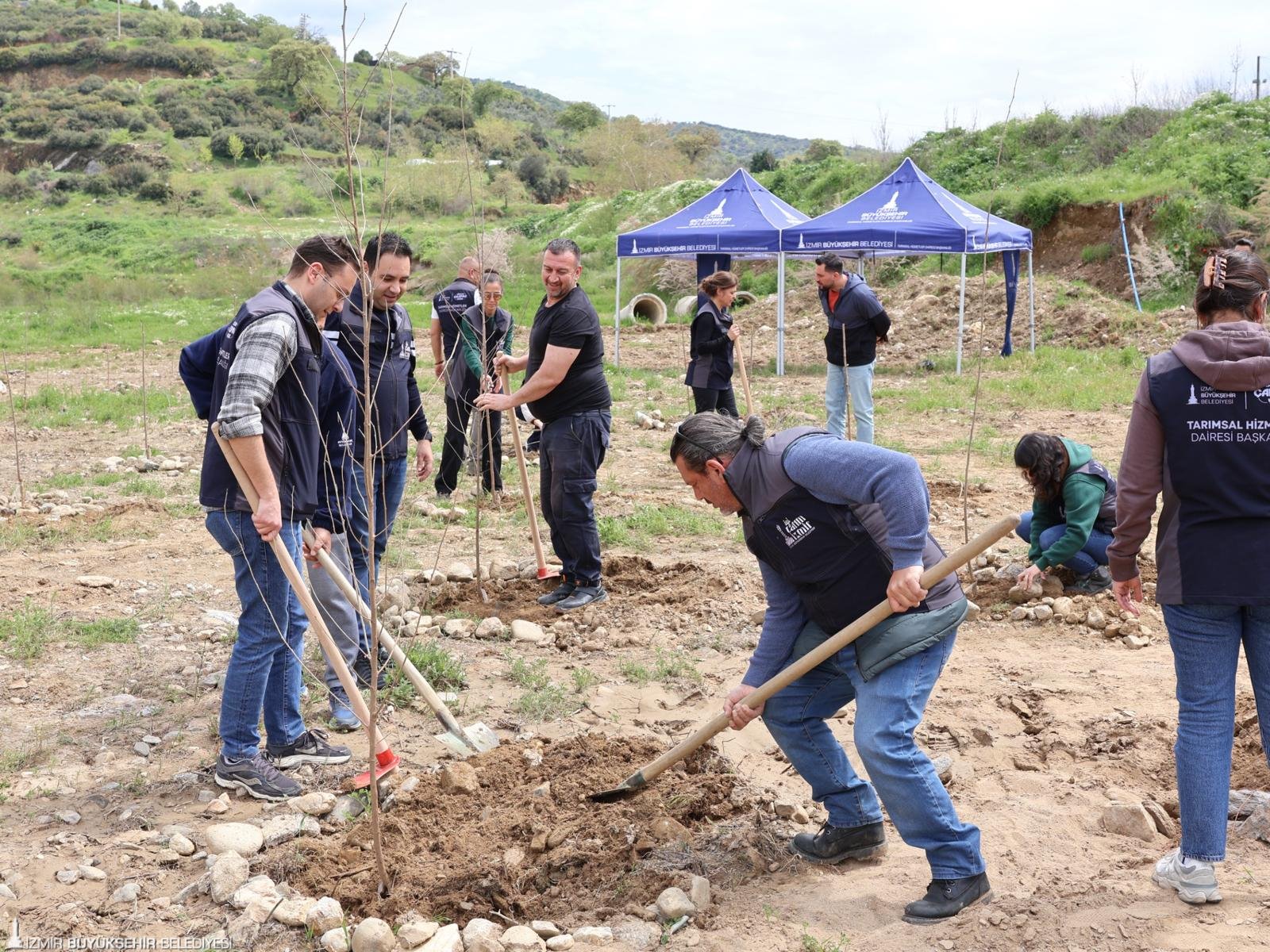 Beydağlı üreticinin yüzü gülecek: Büyükşehirden ipek ve kestane için çifte destek 1 Beydağlı üreticinin yüzü gülecek: Büyükşehirden ipek ve kestane için çifte destek