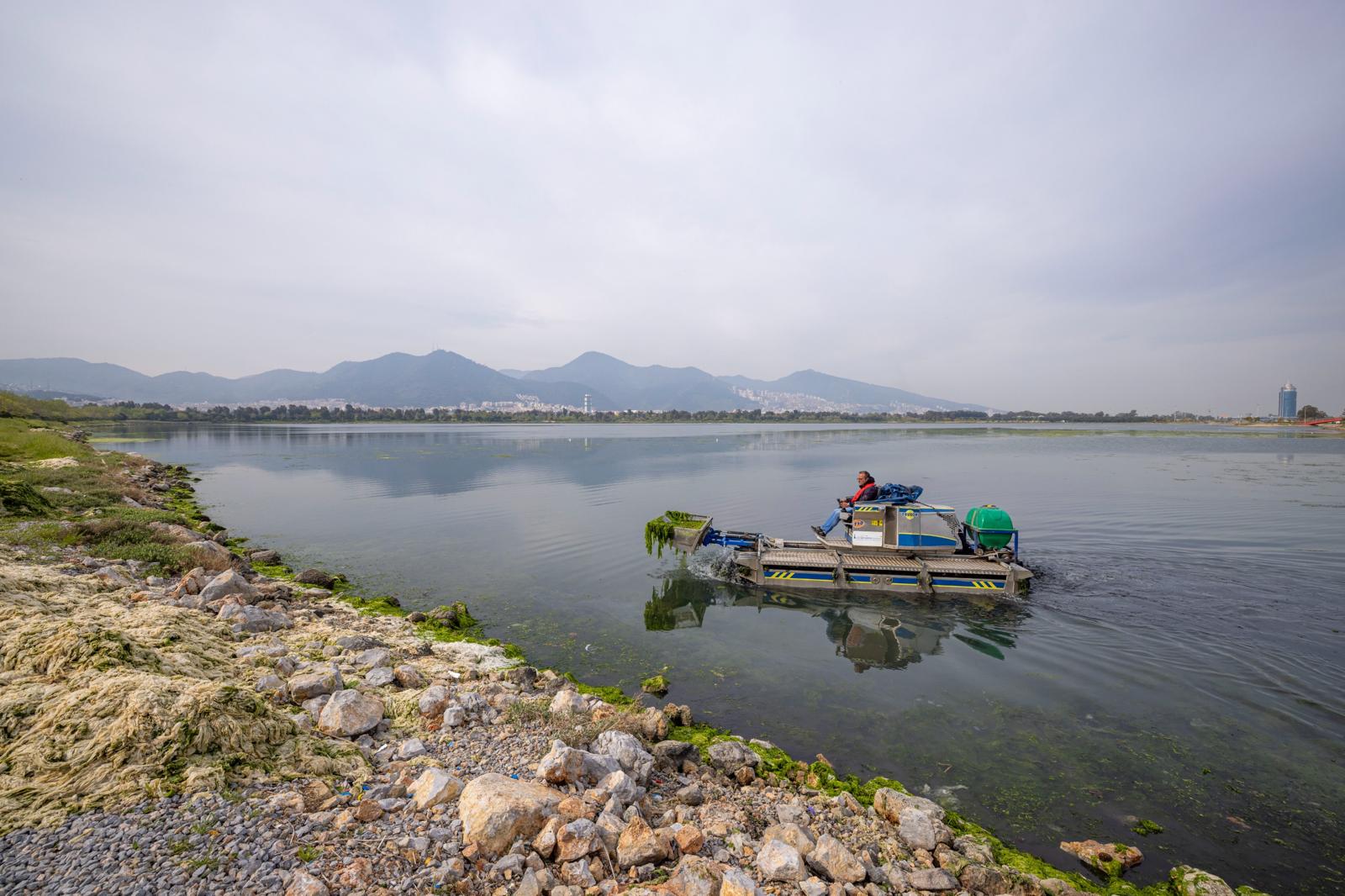 İZSU'dan Çakalburnu Lagünü'ne acil müdahale: 20 ton yosun bertaraf edildi