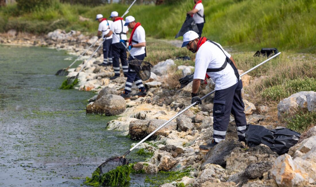 İzmir Körfezi'nin akciğerlerinden biri olan Çakalburnu Lagünü, baharın gelmesi ve