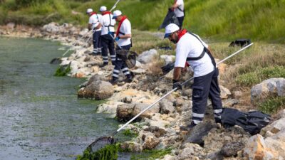 İzmir Körfezi'nin akciğerlerinden biri olan Çakalburnu Lagünü, baharın gelmesi ve