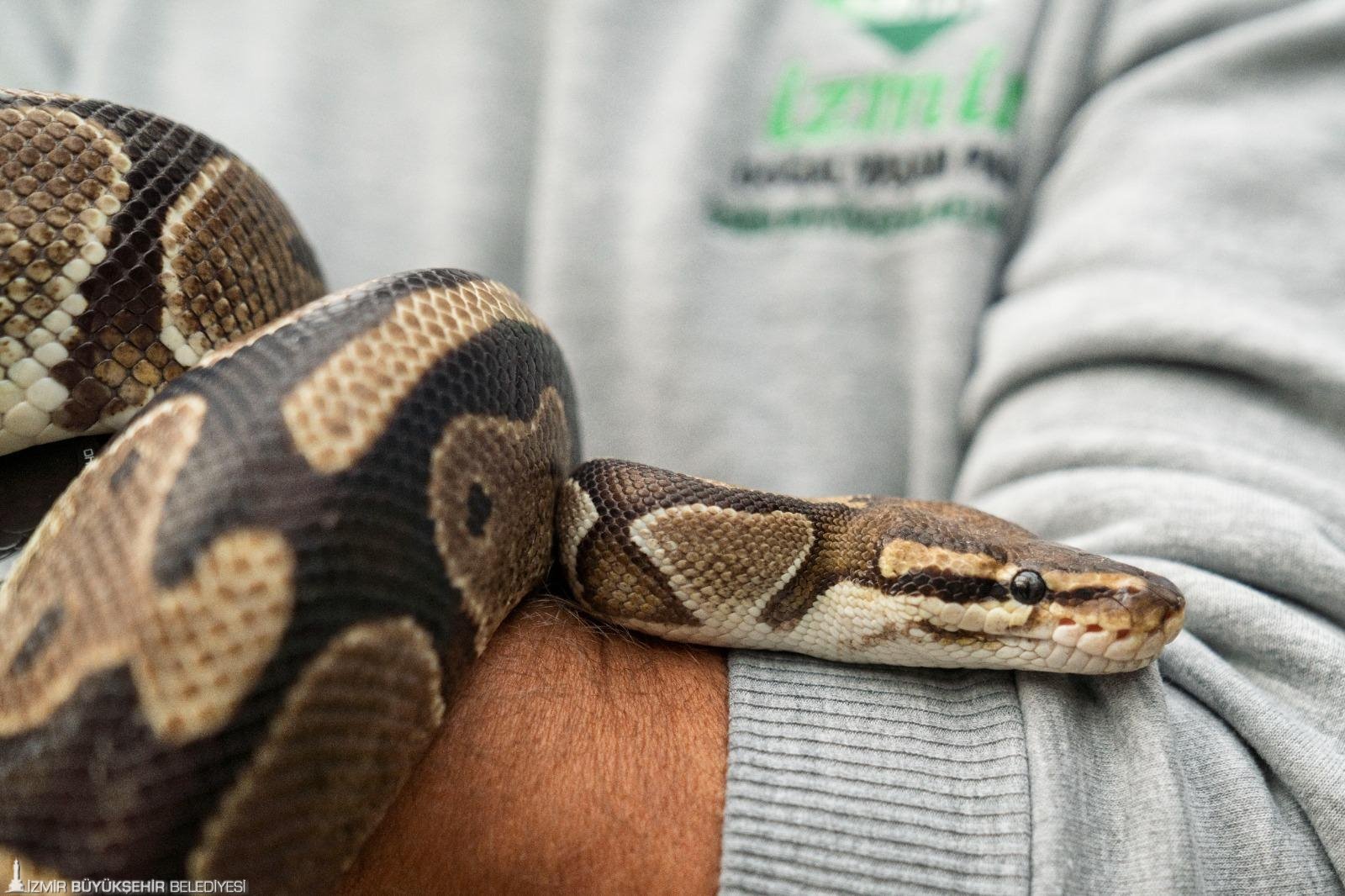 İzmirli çocuklara 'bayram' müjdesi: Doğal Yaşam Parkı o tarihlerde ücretsiz