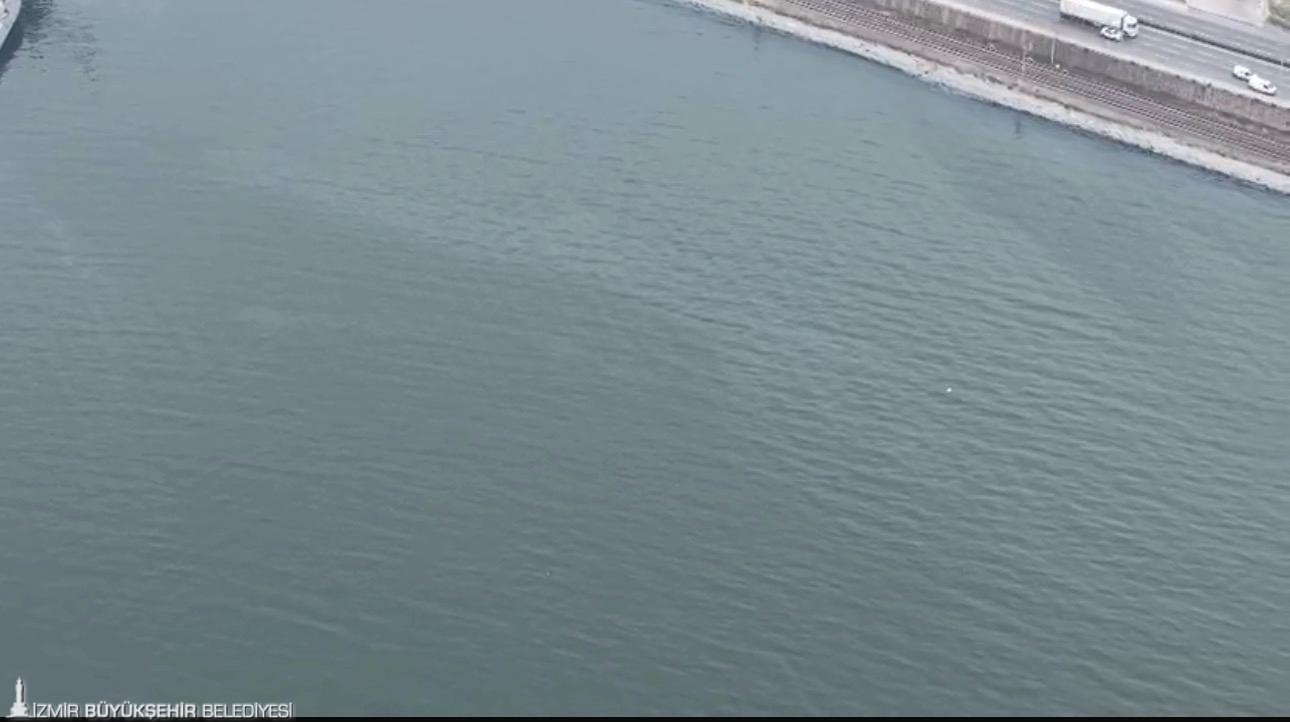 İzmir Körfezi'ne 'seri suikast': 11.'inci kez aynı noktada ihanet