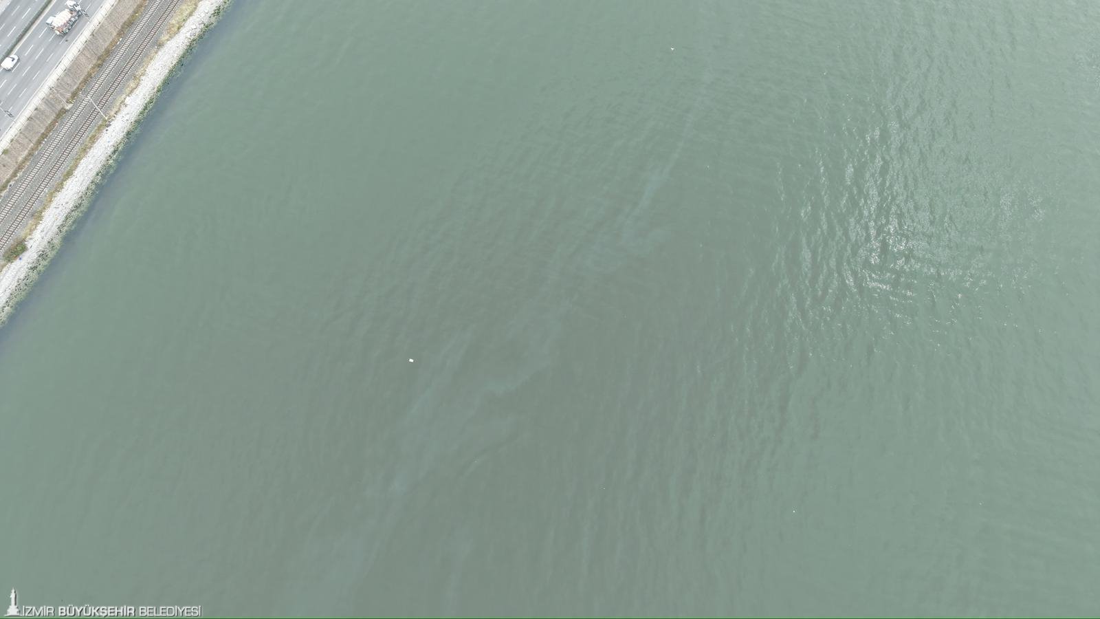 İzmir Körfezi'ne 'seri suikast': 11.'inci kez aynı noktada ihanet