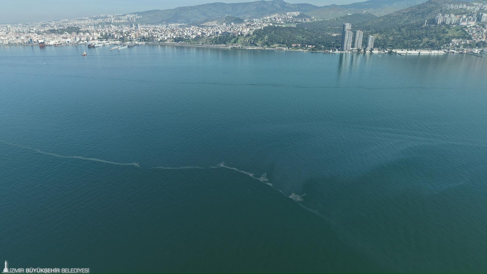 İzmir Körfezi’nde kıyım: 12.'inci kez aynı ihanet