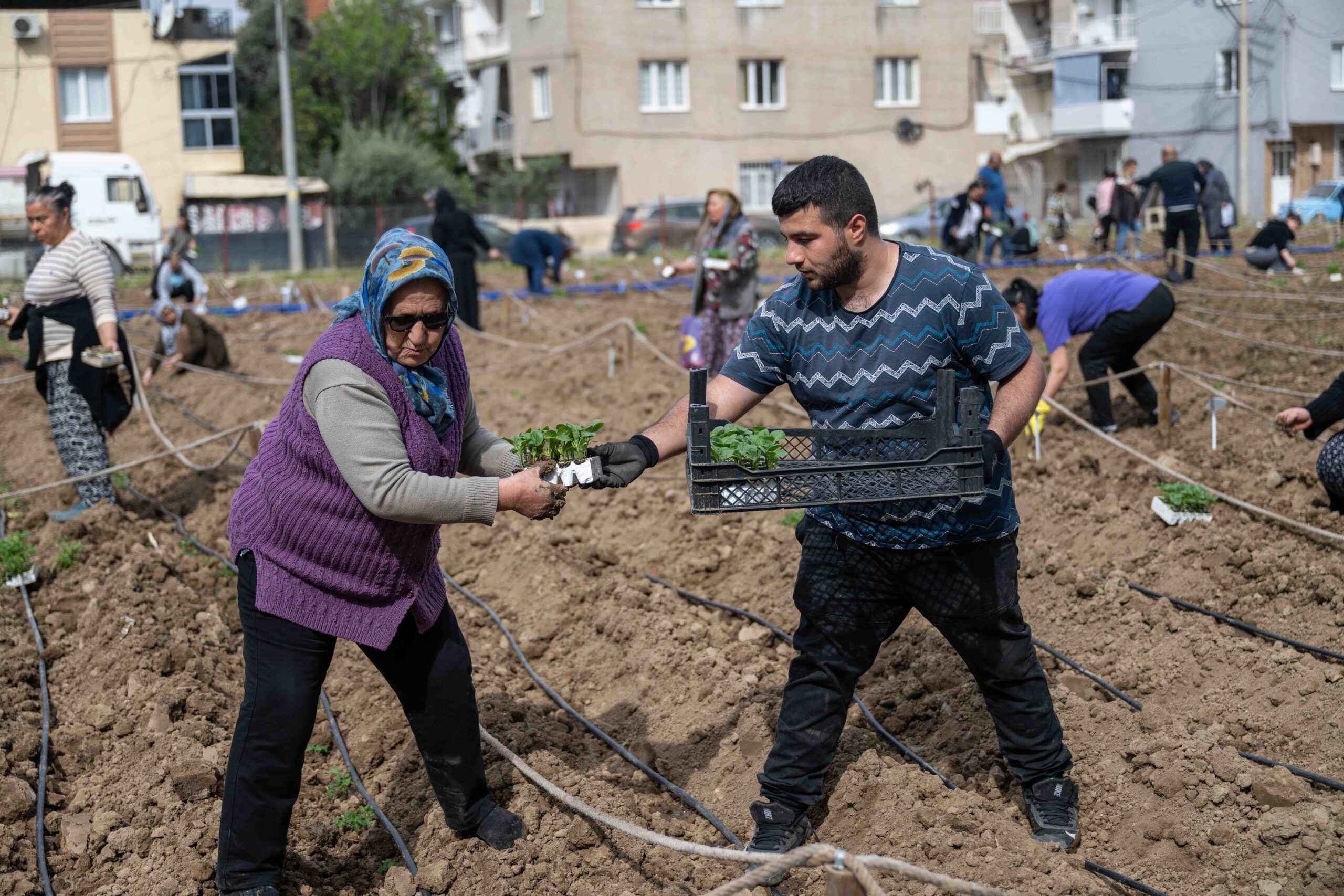 Bornova’da Kent Bostanları: Her mahalleye bir üretim bahçesi geliyor
