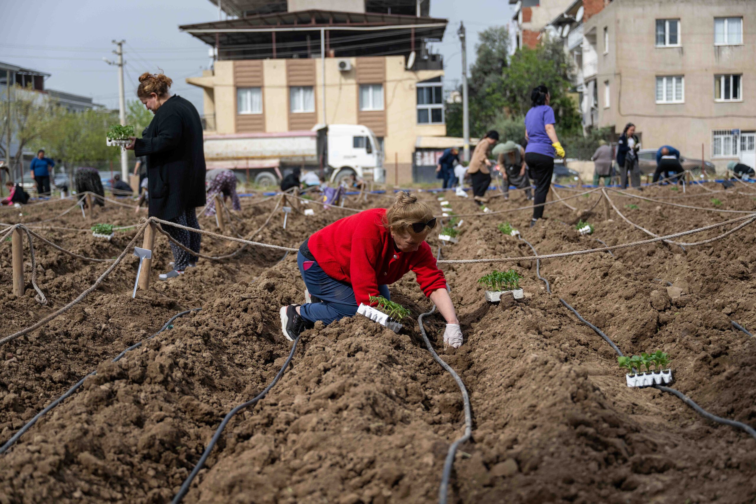 Bornova’da Kent Bostanları: Her mahalleye bir üretim bahçesi geliyor