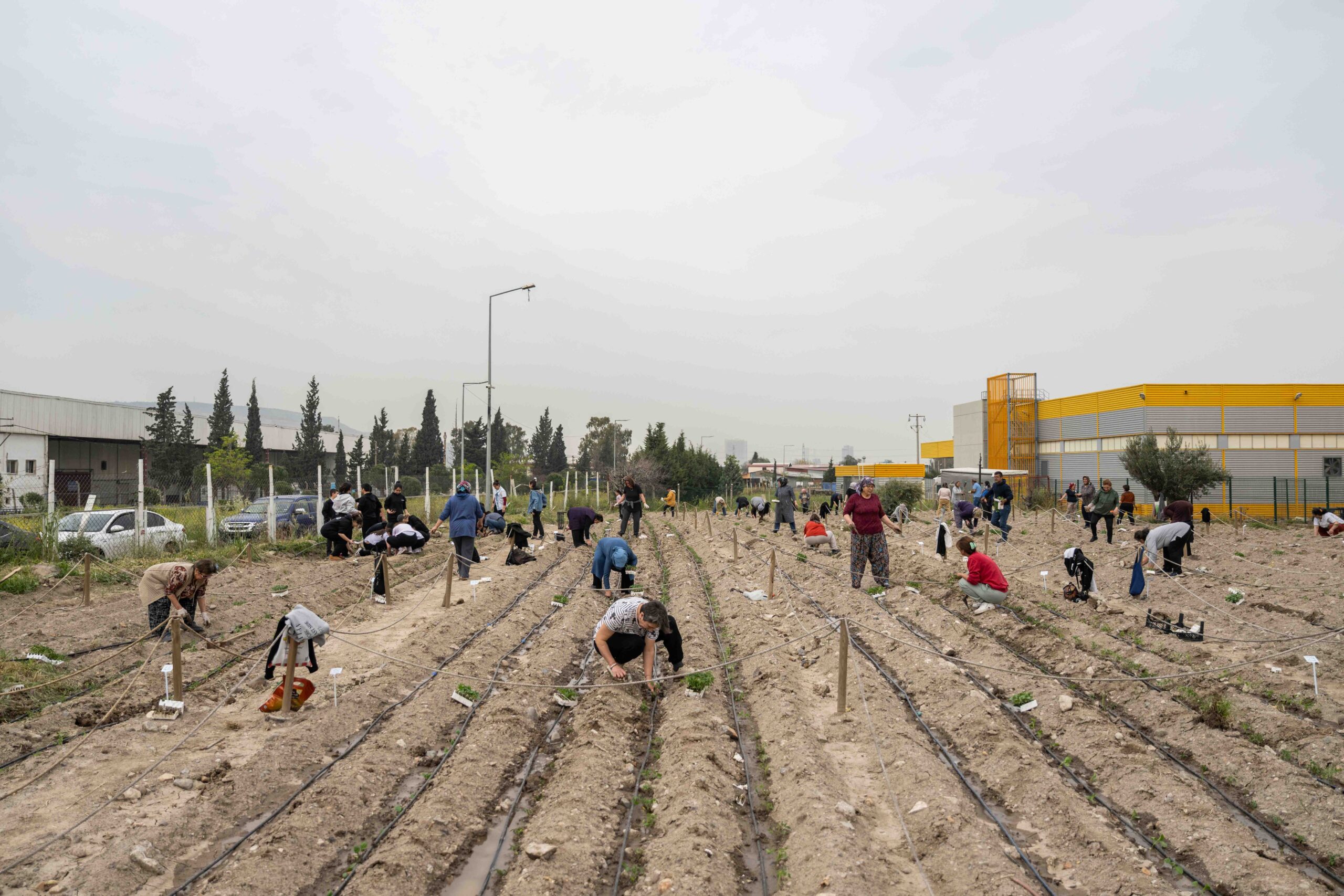 Bornova’da Kent Bostanları: Her mahalleye bir üretim bahçesi geliyor