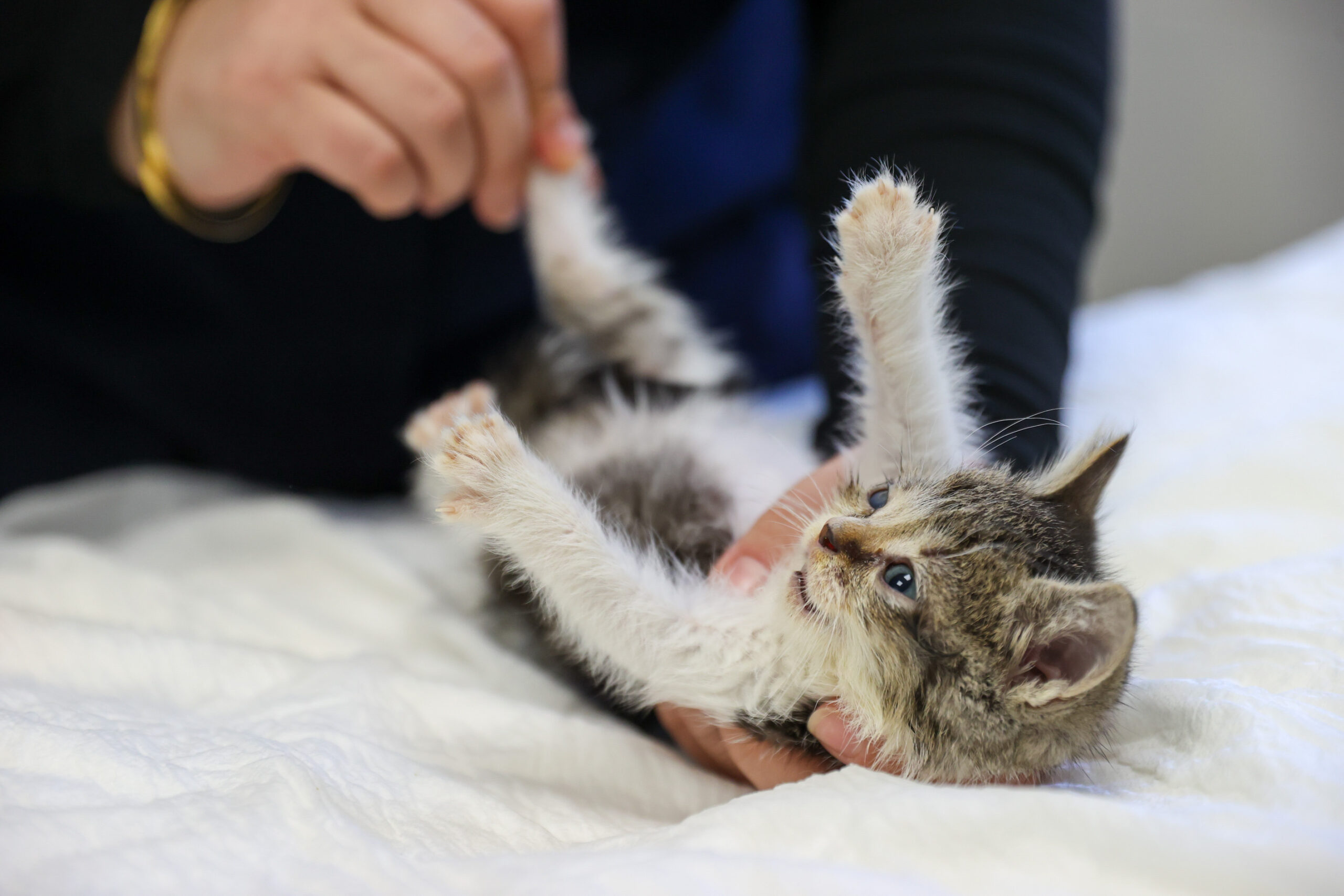 Buca’da mucizenin adı: "Zero" hayata sevgiyle tutundu! 4 Buca’da mucizenin adı: "Zero" hayata sevgiyle tutundu!