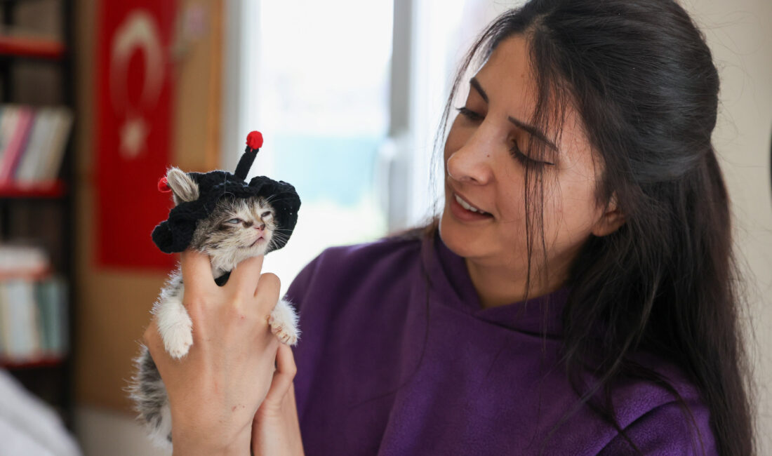 Boynu kırık halde bulunan ve yaşama şansı mucizelere bağlı olan