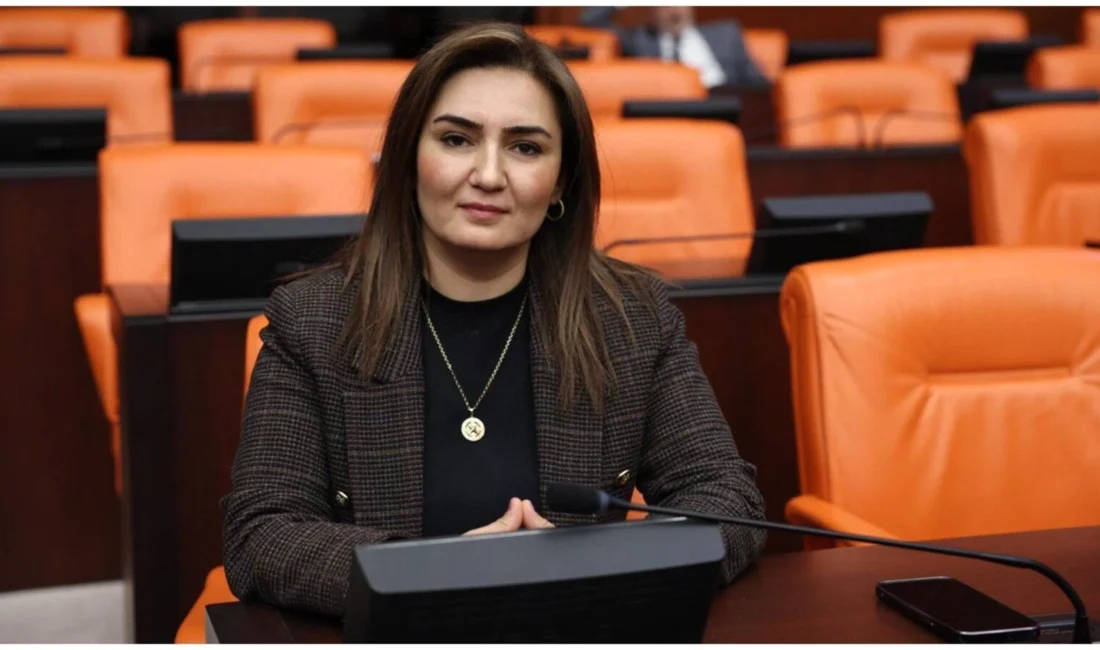 CHP İzmir Milletvekili Sevda Erdan Kılıç, 2023 yılındaki olağan kurultaydan
