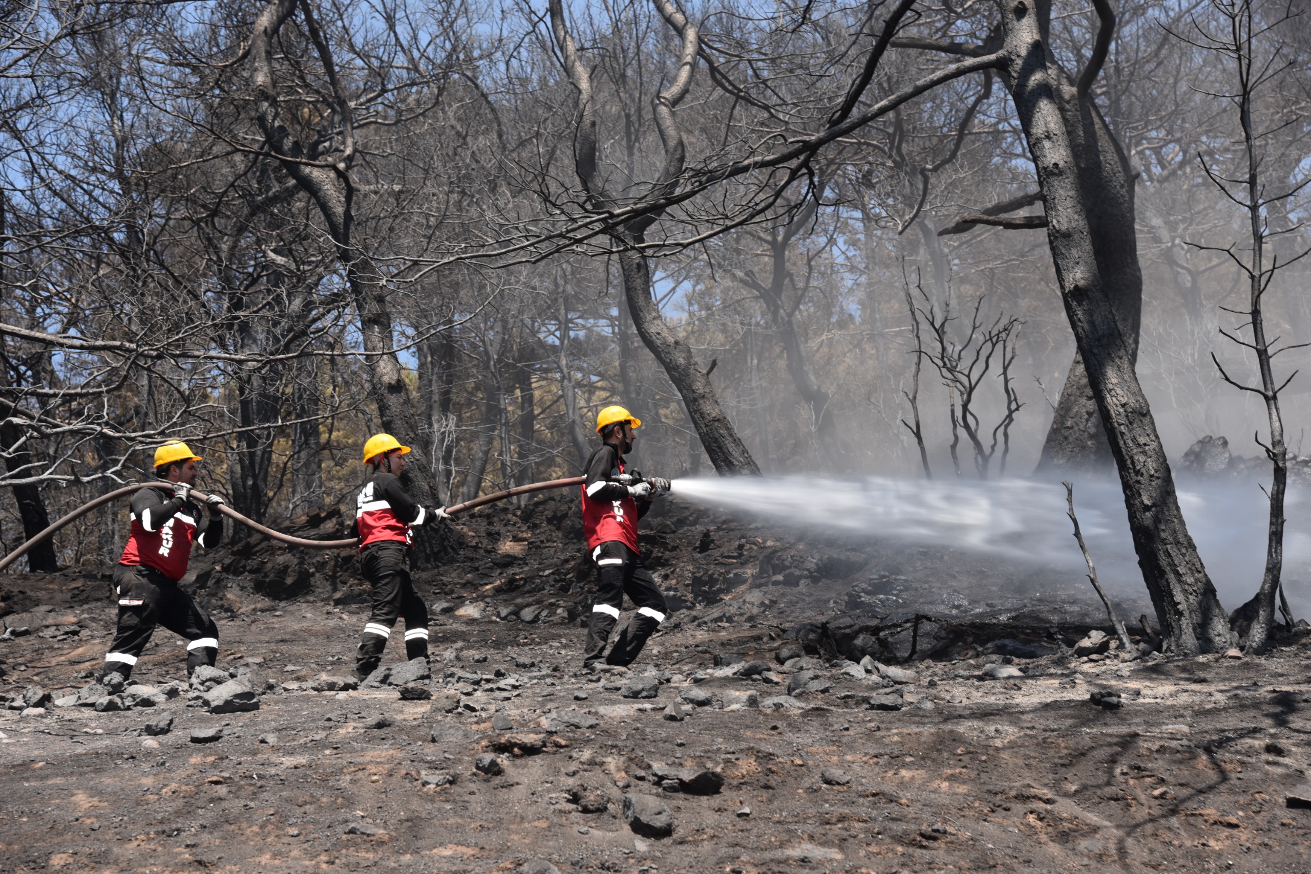 Menemen’in afet hazırlığı: 80 kişilik arama kurtarma ordusu kuruldu! 1 Menemen’in afet hazırlığı: 80 kişilik arama kurtarma ordusu kuruldu!