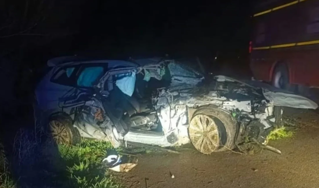 Kontrolden çıkıp ağaca çarpan lüks otomobil facia getirdi. Kazada 35