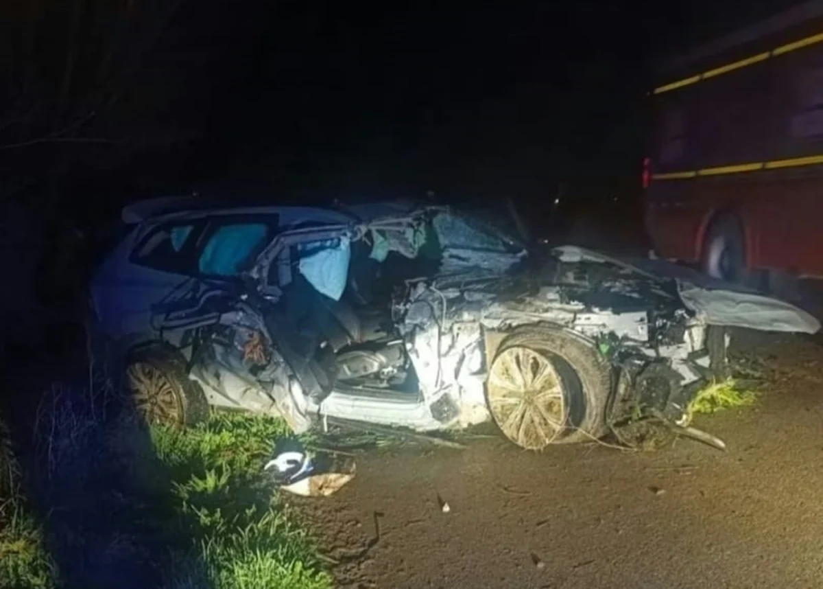 Kontrolden çıkıp ağaca çarpan lüks otomobil facia getirdi. Kazada 35