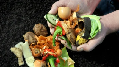 Buca’da yeşil seferberlik! 9 Nisan’da Şirinyer’de düzenlenecek dev organizasyonla mutfak