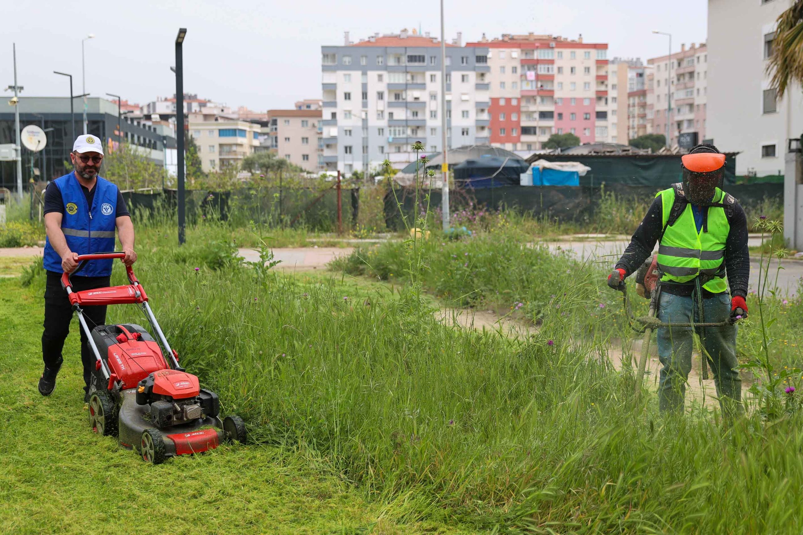 Buca’da bahar temizliği: Kapsamlı kosa seferberliği