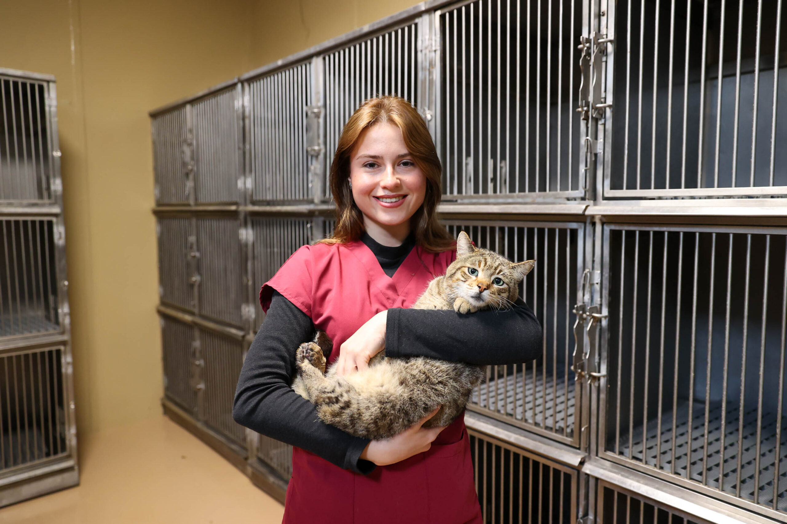 Buca’da sahiplendirme rekoru: 599 can dostu artık "aileden" biri