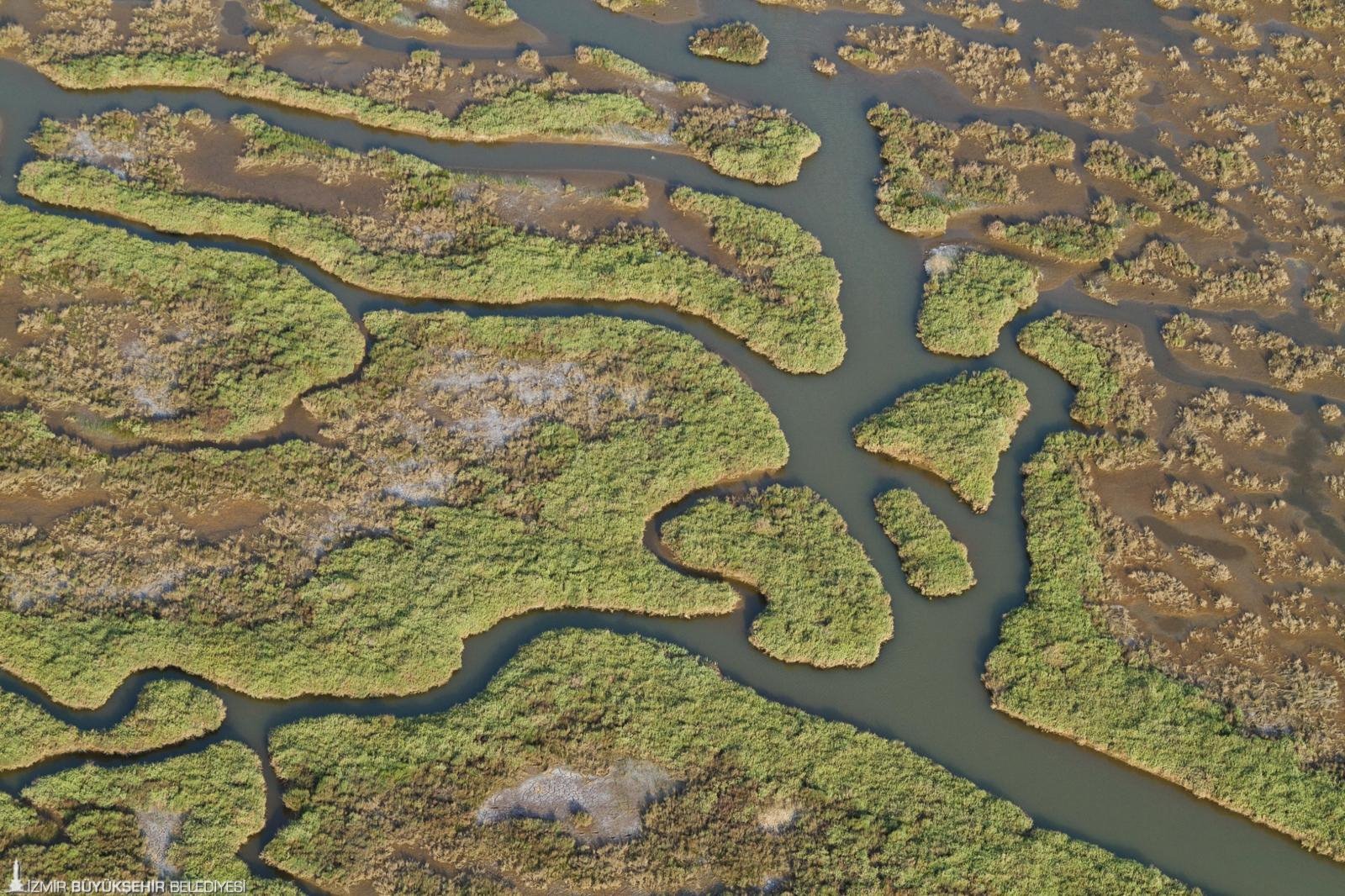 Gediz Nehri kirliliği 'alarm' veriyor: Körfez ve tarım büyük tehlike altında