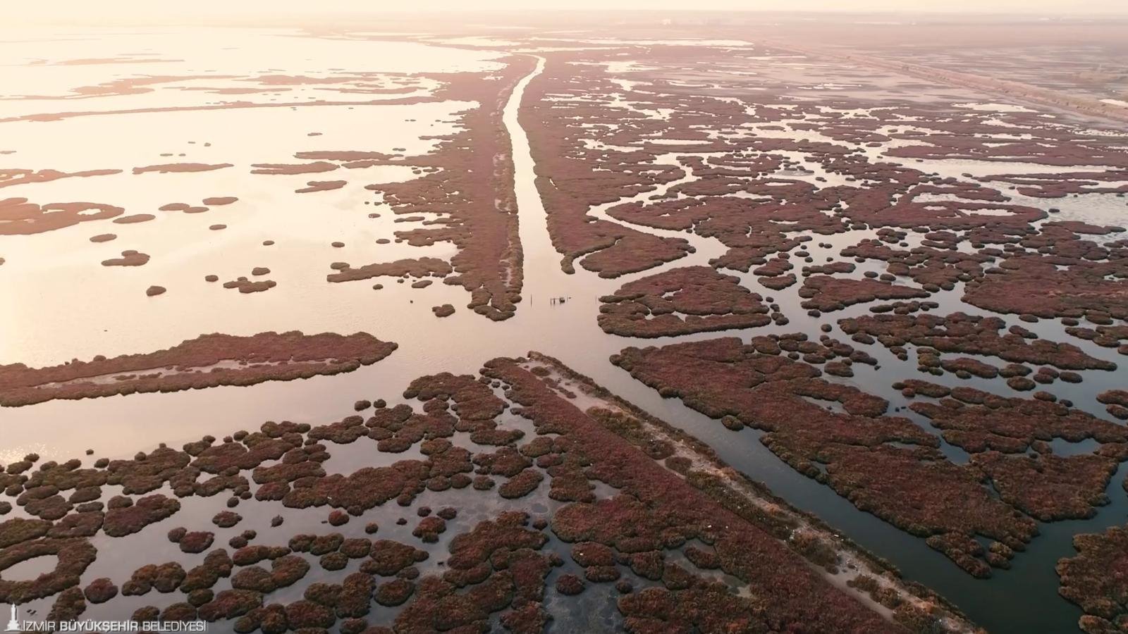 Gediz Nehri kirliliği 'alarm' veriyor: Körfez ve tarım büyük tehlike altında
