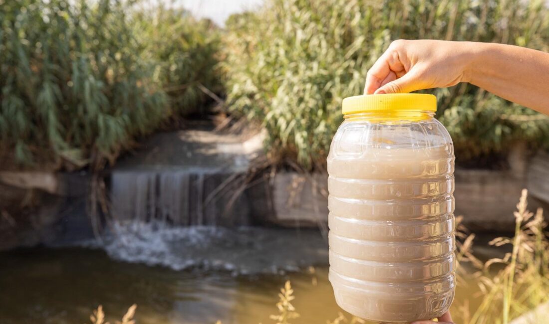 İzmir Körfezi'ni de tehdit eden Gediz Nehri'nde su kalitesi III.