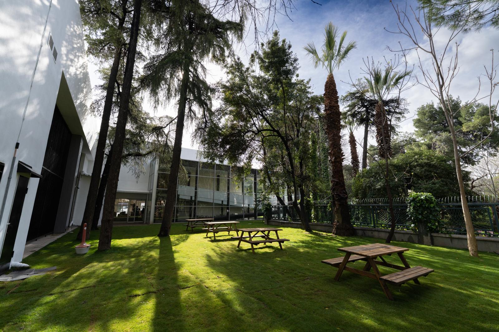 İzmir’in "Hasan Ali Yücel" gururu: Kültürpark’ta bilgi ve doğa iç içe!