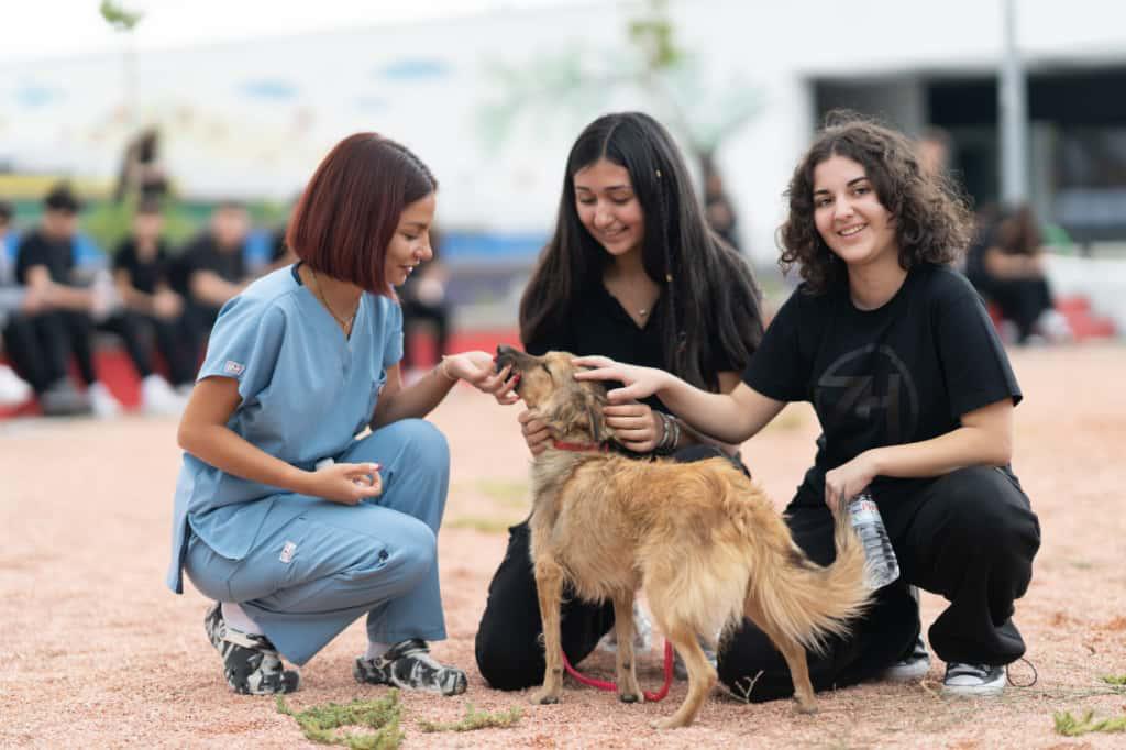 İzmir’de 3 bin 300 can yuvasına kavuştu! Şimdi sıra onlarda: 2 bin 300 “Pati" sevgi bekliyor