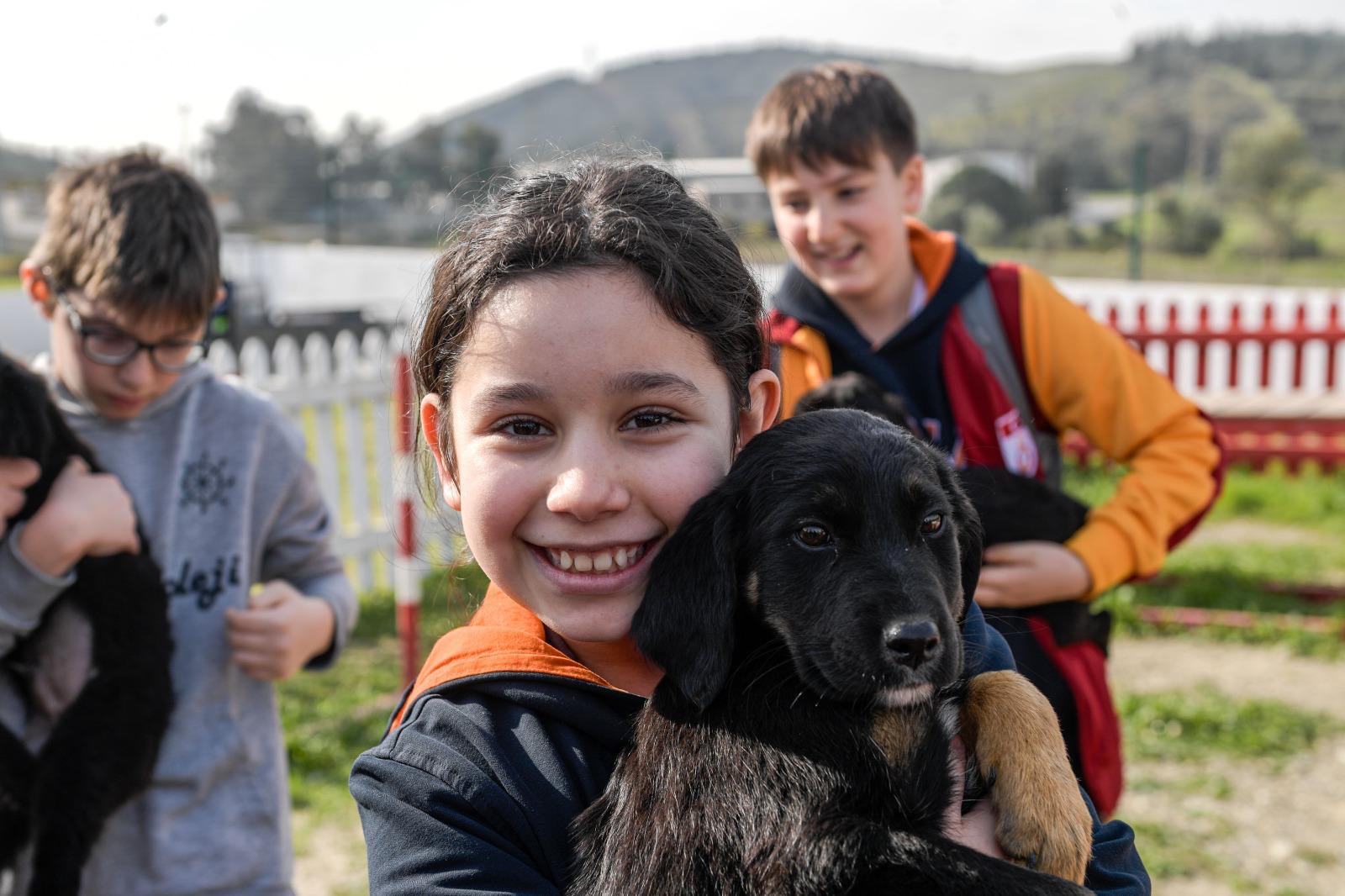 İzmir’de 3 bin 300 can yuvasına kavuştu! Şimdi sıra onlarda: 2 bin 300 “Pati" sevgi bekliyor