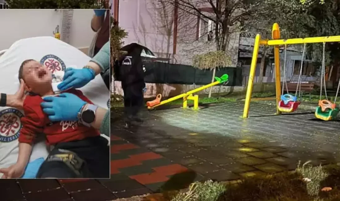 İzmir'in Karabağlar ilçesinde kan donduran bir olay yaşandı. 

Parkta çevresine