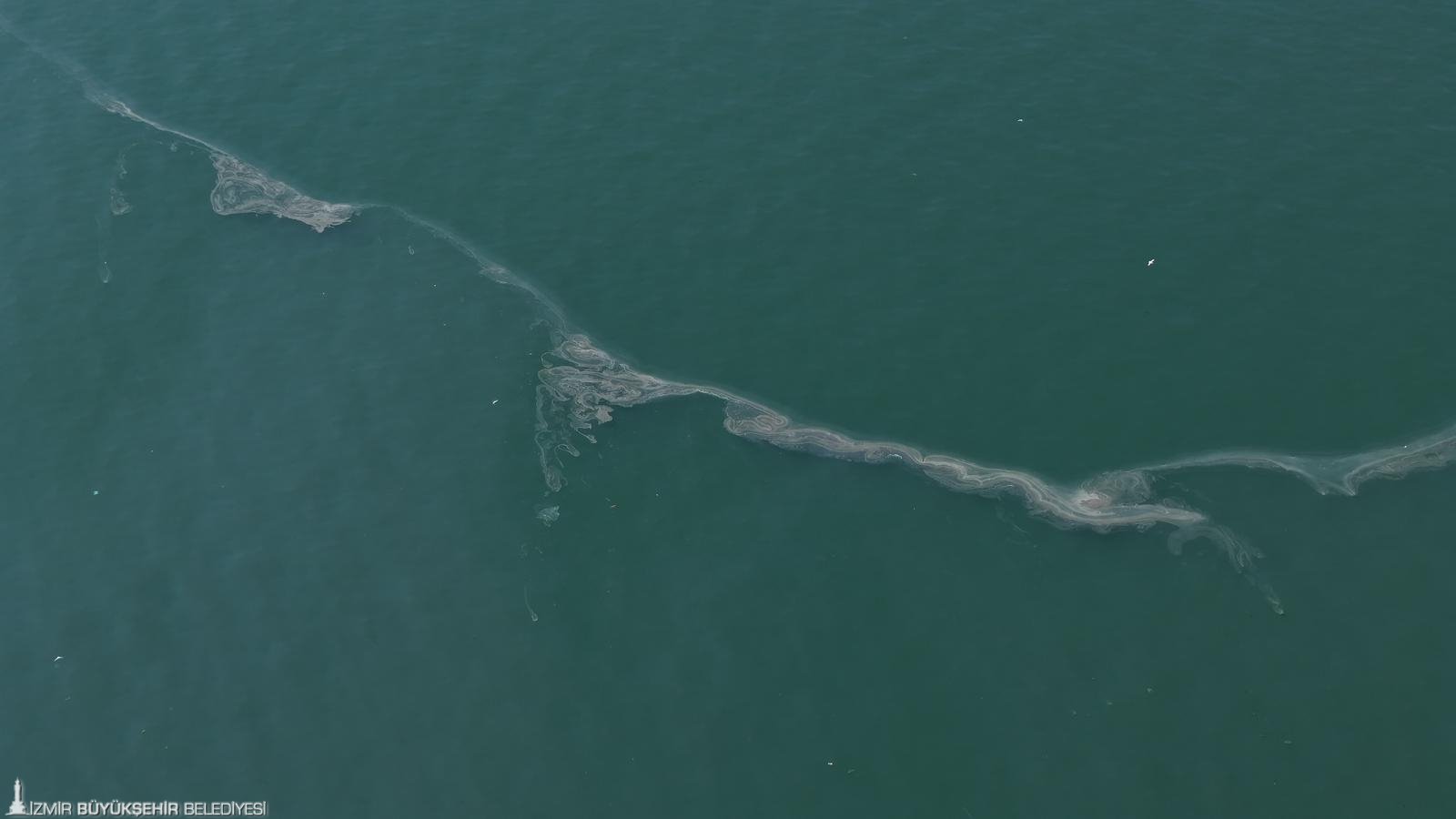 İzmir Körfezi’nde kıyım: 12.'inci kez aynı ihanet