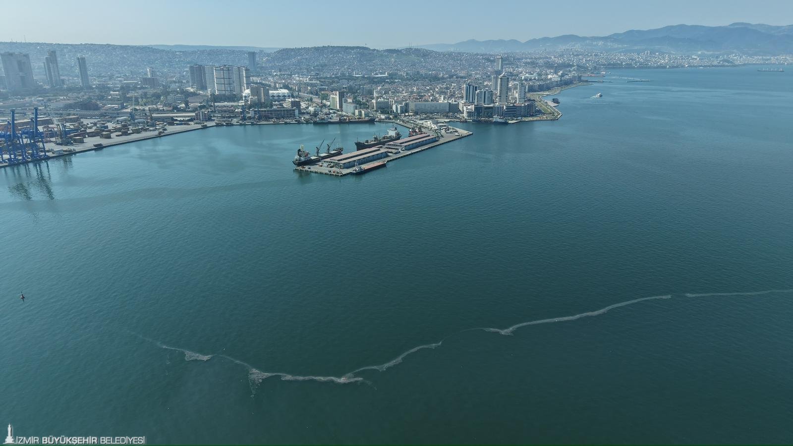 İzmir Körfezi’nde kıyım: 12.'inci kez aynı ihanet