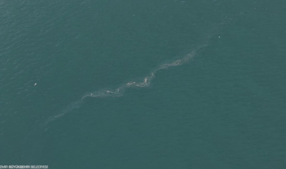 İzmir Büyükşehir Belediyesi’nin dron destekli rutin taramalarında, İzmir Körfezi’nde Karşıyaka