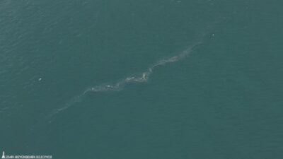 İzmir Büyükşehir Belediyesi’nin dron destekli rutin taramalarında, İzmir Körfezi’nde Karşıyaka