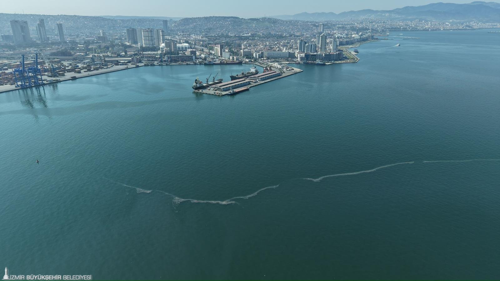 İzmir Körfezi’nde kıyım: 12.'inci kez aynı ihanet