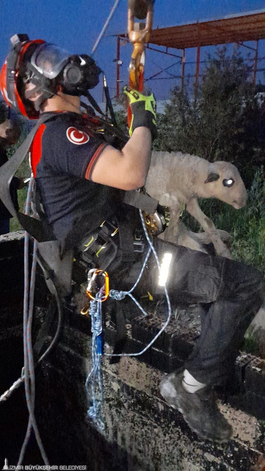 Bornova Işıkkent’te otlatılan kuzu, yaklaşık 20 metre derinliğindeki kuyuya düştü.